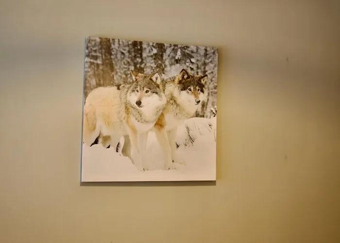 Appartamento L'eterlou, 2 Minutes à Pied Des Télécabines, Paradiski, Belle Vue *