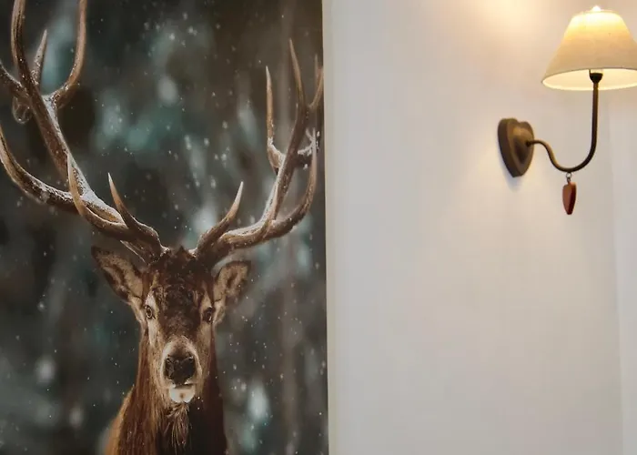 Appartamento L'eterlou, 2 Minutes à Pied Des Télécabines, Paradiski, Belle Vue