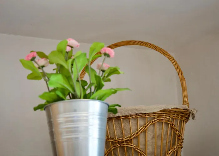 L'eterlou, 2 Minutes à Pied Des Télécabines, Paradiski, Belle Vue *