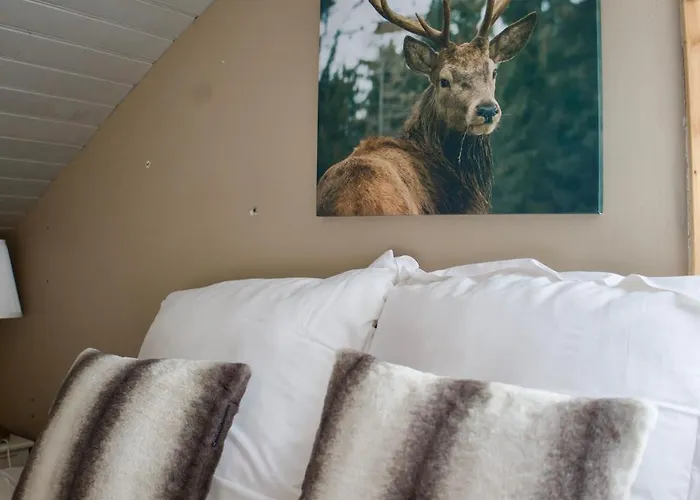 L'eterlou, 2 Minutes à Pied Des Télécabines, Paradiski, Belle Vue La Plagne